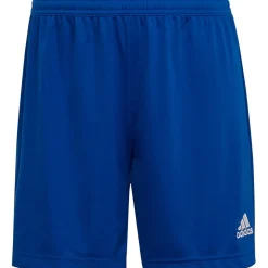 Adidas Damen Shorts Entrada 22 blau