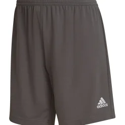 Adidas Damen Shorts Entrada 22 grau