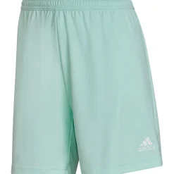 Adidas Damen Shorts Entrada 22 türkis
