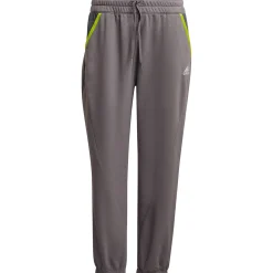 Adidas Damen Sweat Pants Condivo 22 grau