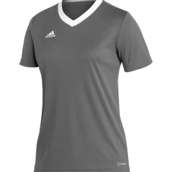 Adidas Damen Trikot Entrada 22 grau