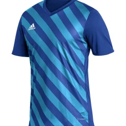 Adidas Herren GFX Trikot Entrada 22 blau