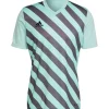 Adidas Herren GFX Trikot Entrada 22 türkis-grau