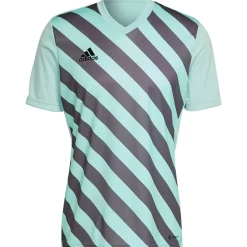 Adidas Herren GFX Trikot Entrada 22 türkis-grau