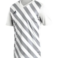 Adidas Herren GFX Trikot Entrada 22 weiß-grau