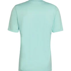 Adidas Herren GFX Trikot Entrada 22 türkis-grau