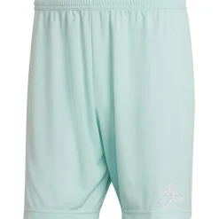 Adidas Herren Shorts Entrada 22 türkis