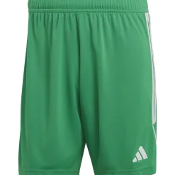 Adidas Herren Shorts Tiro 23 grün-weiß