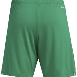 Adidas Herren Shorts Tiro 23 grün-weiß