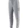 Adidas Herren Sweat Pants Squadra 21 grau