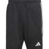 Adidas Herren Training Shorts Tiro 23 schwarz