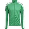 Adidas Herren Trainingsjacke Squadra 21 grün-weiß