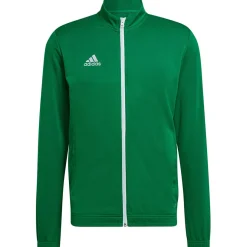 Adidas Herren Trainingsjacke Entrada 22 grün-weiß