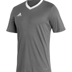 Adidas Herren Trikot Entrada 22 grau