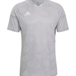 Adidas Herren Trikot MD Condivo 22 grau-weiß