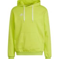 Adidas Hoodie Entrada 22 gelb
