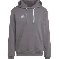 Adidas Hoodie Entrada 22 grau