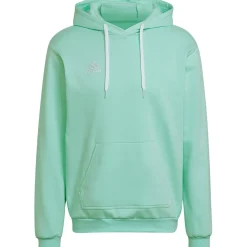 Adidas Hoodie Entrada 22 türkis