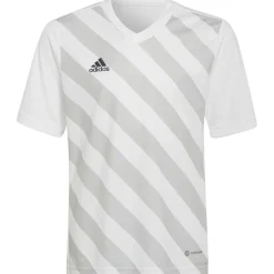 Adidas Kinder GFX Trikot Entrada 22 weiß-grau