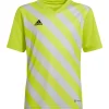 Adidas Kinder GFX Trikot Entrada 22 gelb-grau