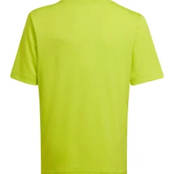 Adidas Kinder GFX Trikot Entrada 22 gelb-grau