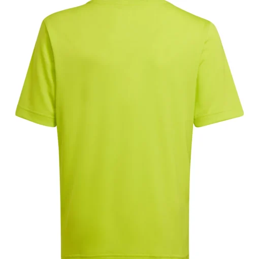 Adidas Kinder GFX Trikot Entrada 22 gelb-grau