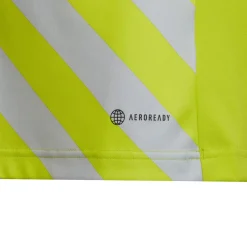 Adidas Kinder GFX Trikot Entrada 22 gelb-grau