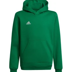 Adidas Kinder Hoodie Entrada 22 grün-weiß