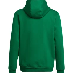 Adidas Kinder Hoodie Entrada 22 grün-weiß