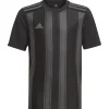 Adidas Kinder Kurzarm Trikot Striped 21 schwarz-grau
