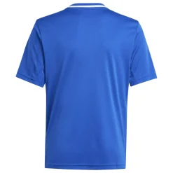 Adidas Kinder Kurzarm Trikot Campeon 25 team royal blue-white