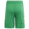adidas Kinder Short Tiro 24 Team Green / Semi Spark