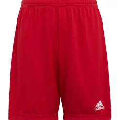 Adidas Kinder Shorts Entrada 22 rot