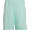 Adidas Kinder Shorts Entrada 22 türkis