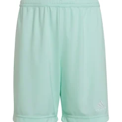 Adidas Kinder Shorts Entrada 22 türkis