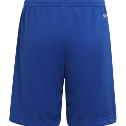 Adidas Kinder Shorts Entrada 22 blau