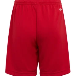 Adidas Kinder Shorts Entrada 22 rot