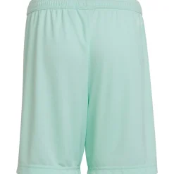Adidas Kinder Shorts Entrada 22 türkis