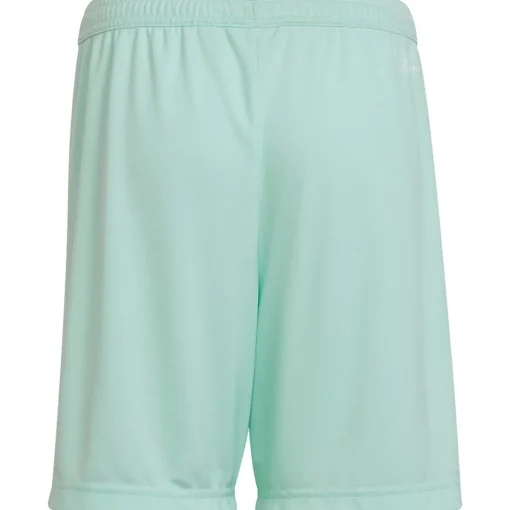 Adidas Kinder Shorts Entrada 22 türkis