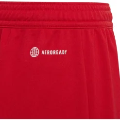 Adidas Kinder Shorts Entrada 22 rot