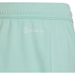 Adidas Kinder Shorts Entrada 22 türkis