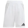 Adidas Kinder Shorts Tiro 24 Competition Match white