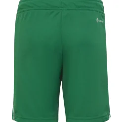 Adidas Kinder Shorts Tiro 23 grün-weiß