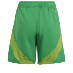 Adidas Kinder Shorts Tiro 24 Competition Match team green