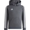 Adidas Kinder Sweat Hoodie Tiro 23 grau