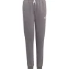 Adidas Kinder Sweat Pants Entrada 22 grau