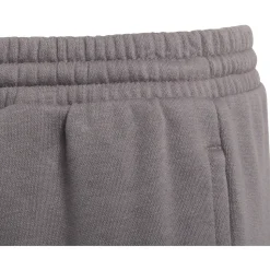 Adidas Kinder Sweat Pants Entrada 22 grau