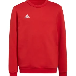 Adidas Kinder Sweatshirt Entrada 22 rot