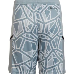 Adidas Kinder Torwartshorts Condivo 22 grau