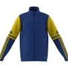 Adidas Kinder Trainingsjacke Squadra 25 team royal blue-team yellow